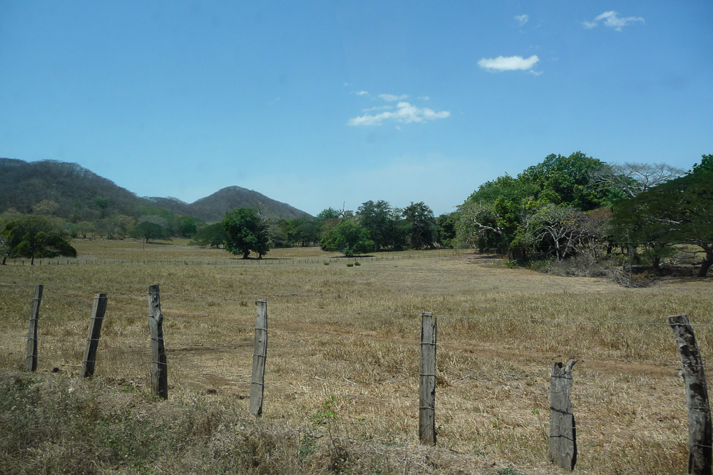 Days 8 to 9: Northern Pacific region - Gulf of Nicoya